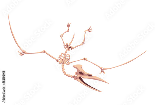 Paleontological museum interior element. Prehistoric dinosaur skeleton. Fossils and archaeological discoveries. Historical artefacts. Vector science