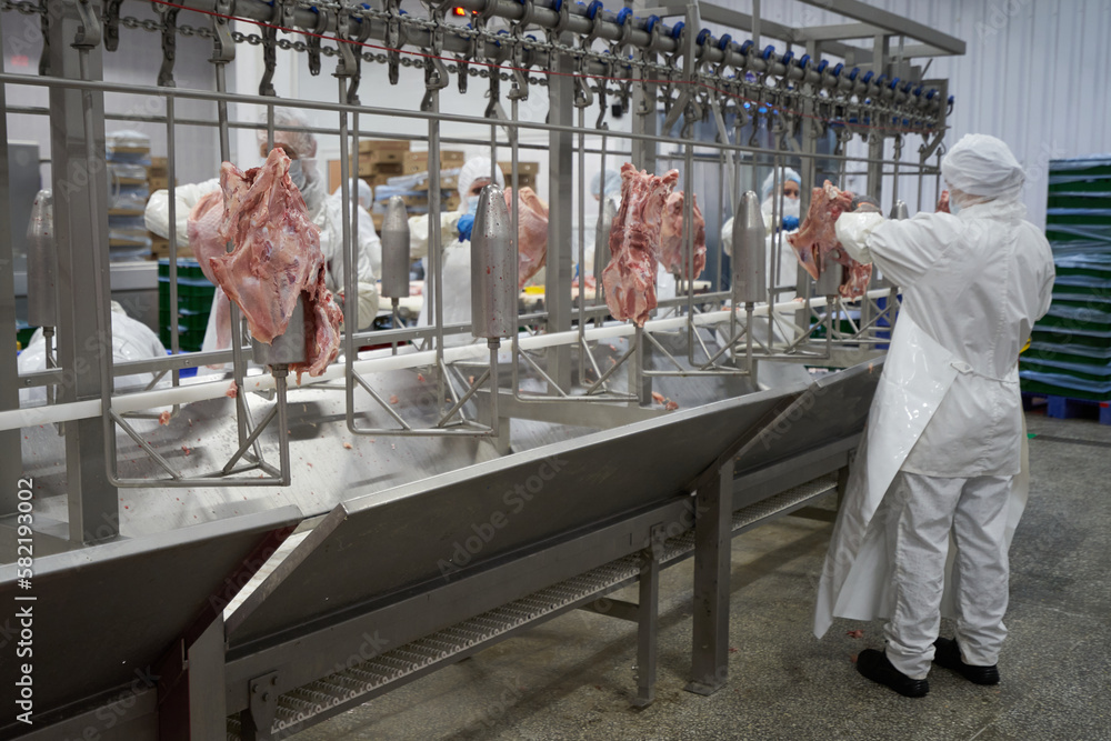 Turkey meat cutting line at a meat processing plant