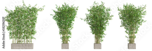Valokuvatapetti 3d illustration of bamboo tree isolated on transparent background