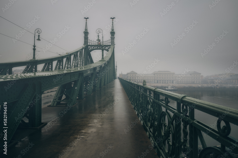 Liberty Bridge - Budapest, Hungary