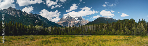 Scenic shot of a large green field in Mount Robson provincial park in British Columbia, Canada