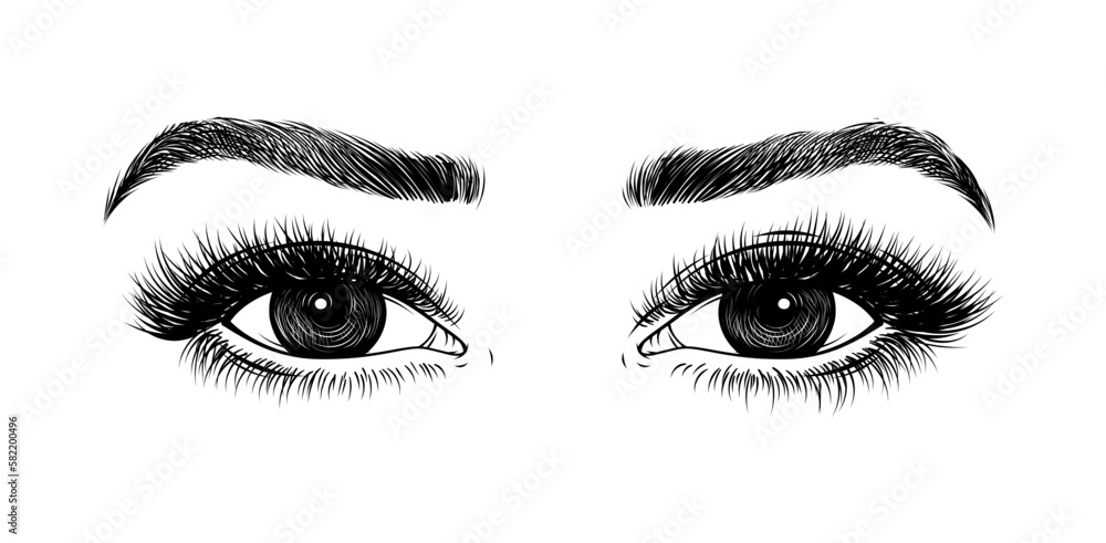 Hand-drawn woman's sexy luxurious eye with perfectly shaped eyebrows and full lashes. Idea for business visit card, typography vector. Perfect salon look. 
