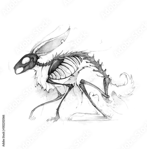 Illustration of a Rabbit skeletal system on a white background.