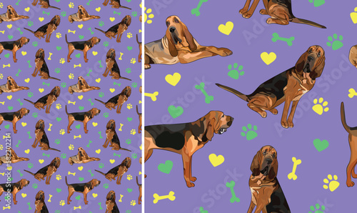 Bloodhound dogs on a playful violet background with bones, hearts, paws. Funky, colorful vibe, vibrant palette. Simple, clean, modern texture. Summer seamless pattern with dogs. Birthday present, card