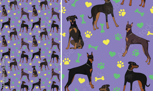 Doberman dogs on a playful violet background with bones, hearts, paws. Funky, colorful vibe, vibrant palette. Simple, clean, modern texture. Summer seamless pattern with dogs. Birthday present, card.
