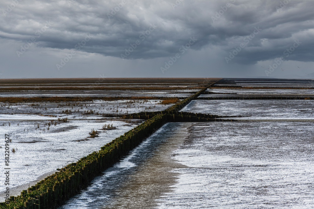 Mudflat along the Dutch coast