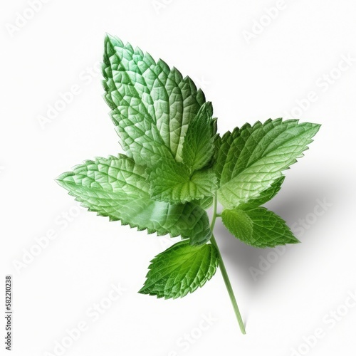Fresh mint green leaves from organic farm isolated on white background Generative AI Illustration