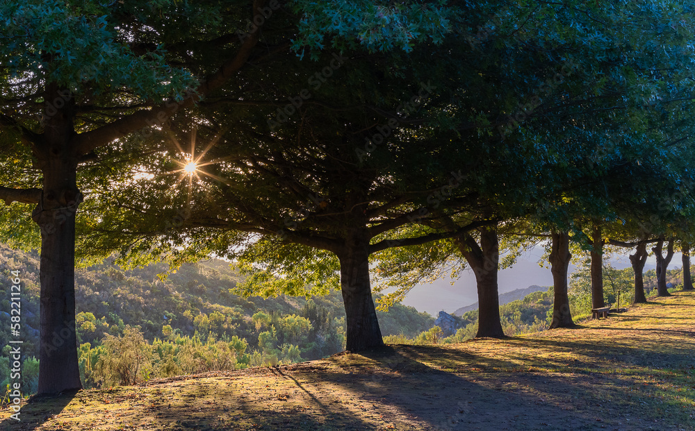 autumn in the park
