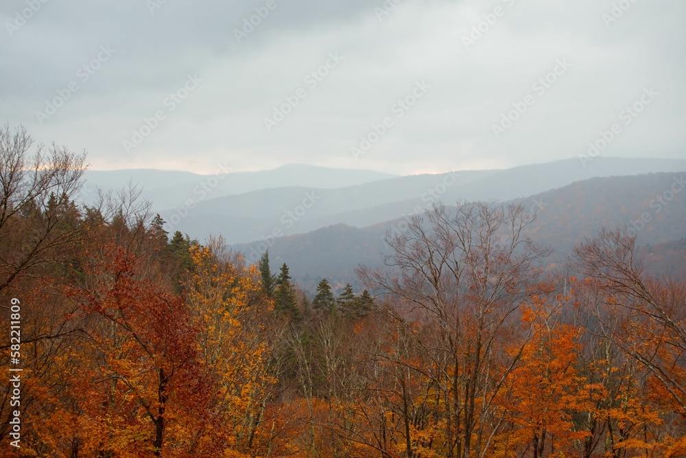 Landscape view of the colorful autumn trees with hills  in the background on a foggy day