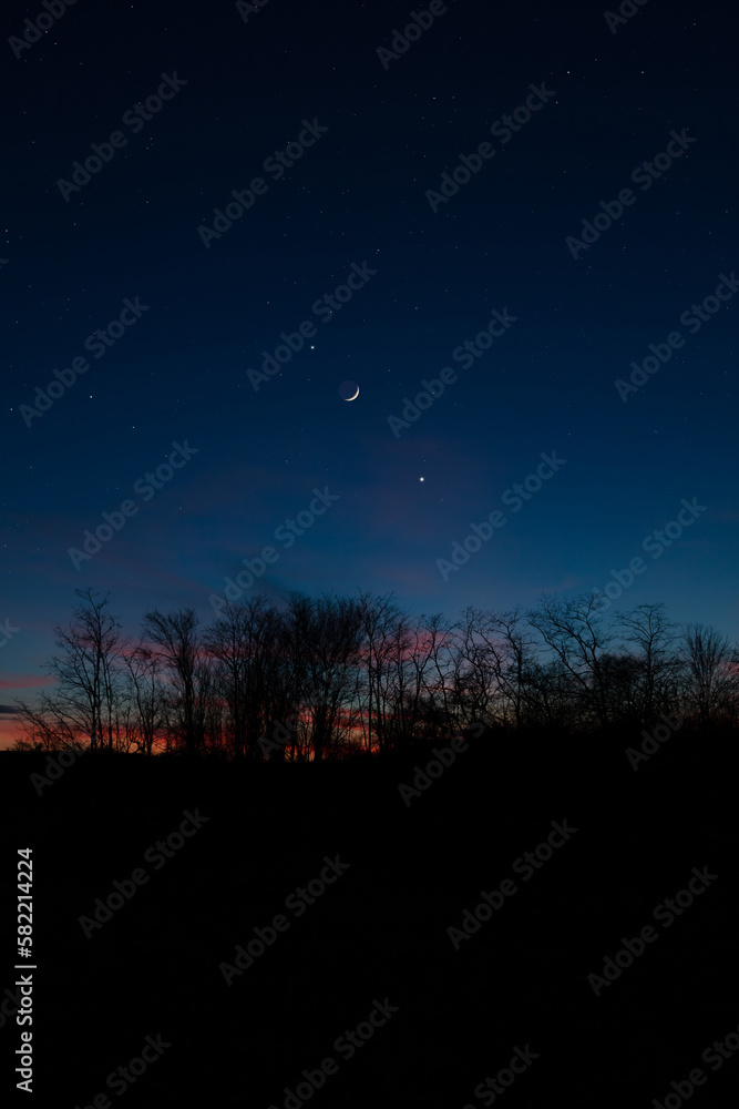 Planets in conjunction with young Moon above tree countryside silhouettes.