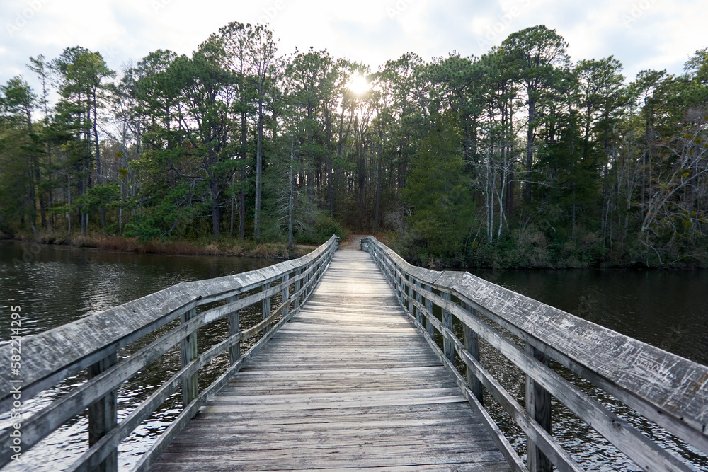 wooden bridge over lake