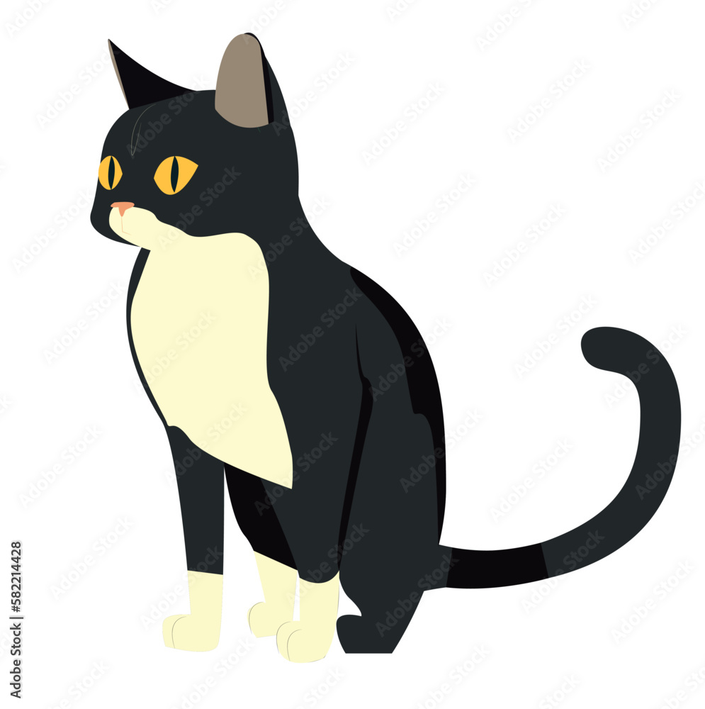 black cat on white.cat . vector flat illustration of a cat. pets black cat on white.cat . vector flat illustration of a cat. pets