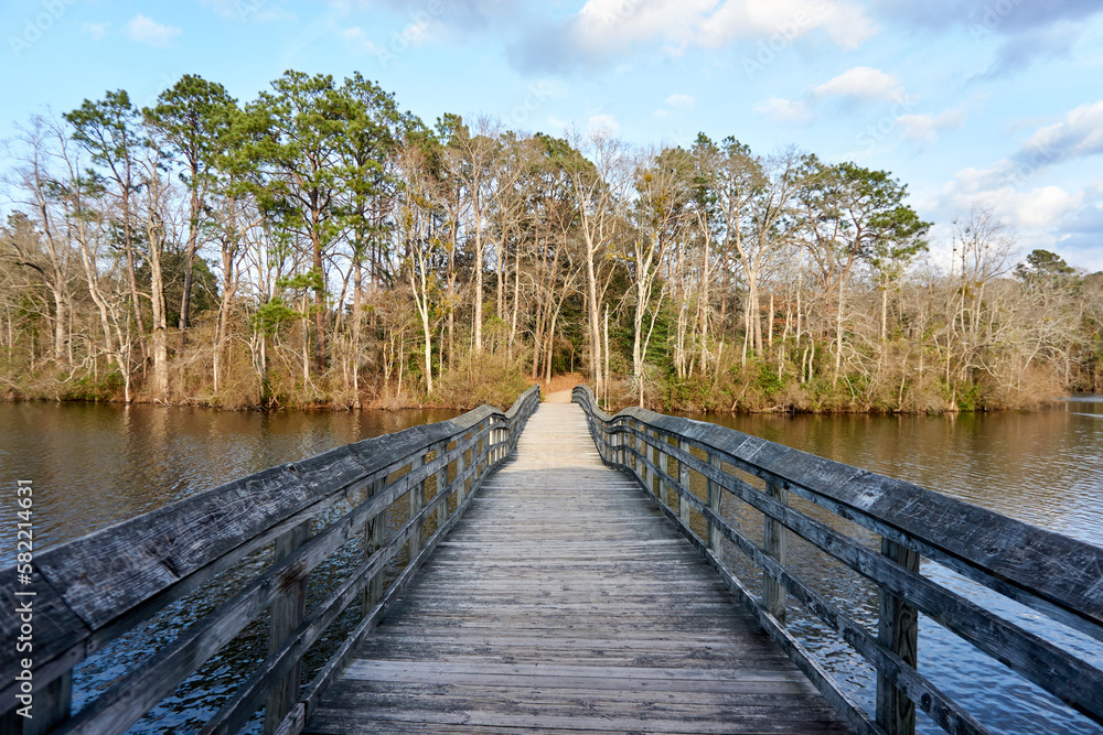 Fototapeta premium wooden bridge over lake
