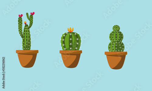 cactus in a pot illustration 