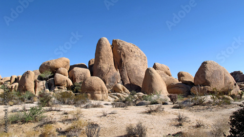 Joshua Tree National Park, America