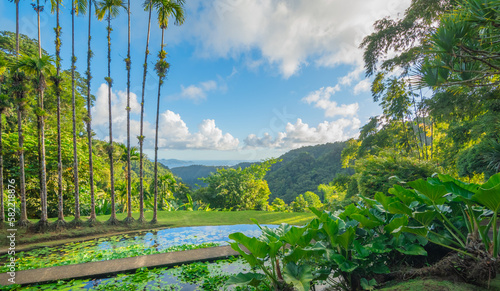 Jardins de la Balata à Fort-De-France, Martinique. Jardins exotique des Antilles Françaises.	 photo