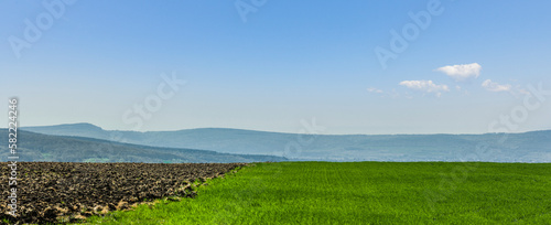 Grüne Wiese vor einem Hügeligen Bergpanorama
