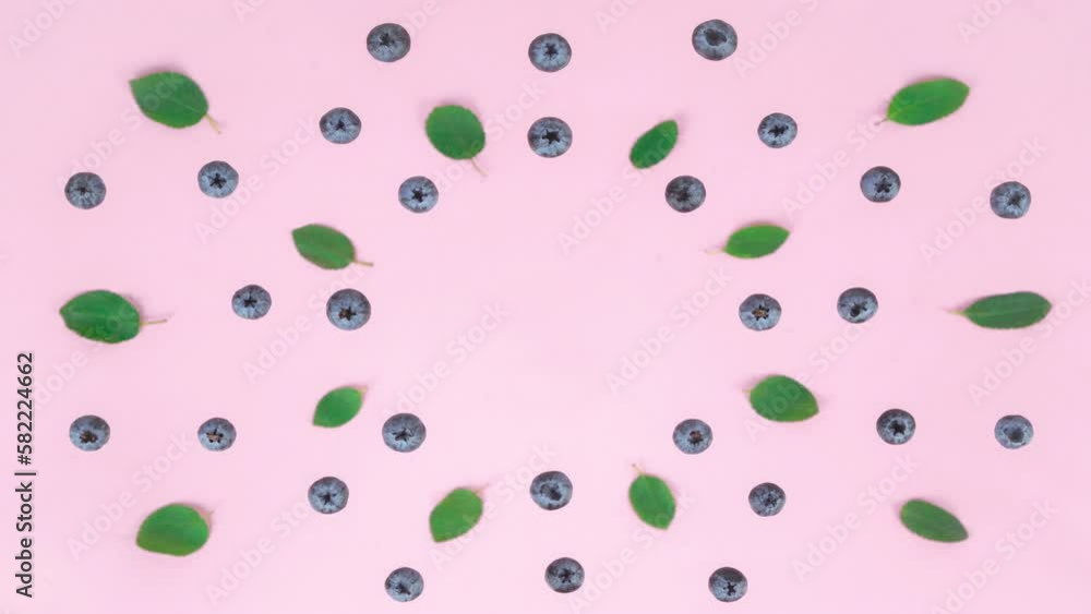 4k Ripe blueberries and green leaves fill white tube. Pink background. Сoncept of natural organic composition of cosmetics, skin care and anti-aging treatments. Stop motion animation. Flat lay 4k Ripe blueberries and green leaves fill white tube. Pink background. Сoncept of natural organic composition of cosmetics, skin care and anti-aging treatments. Stop motion animation. Flat lay