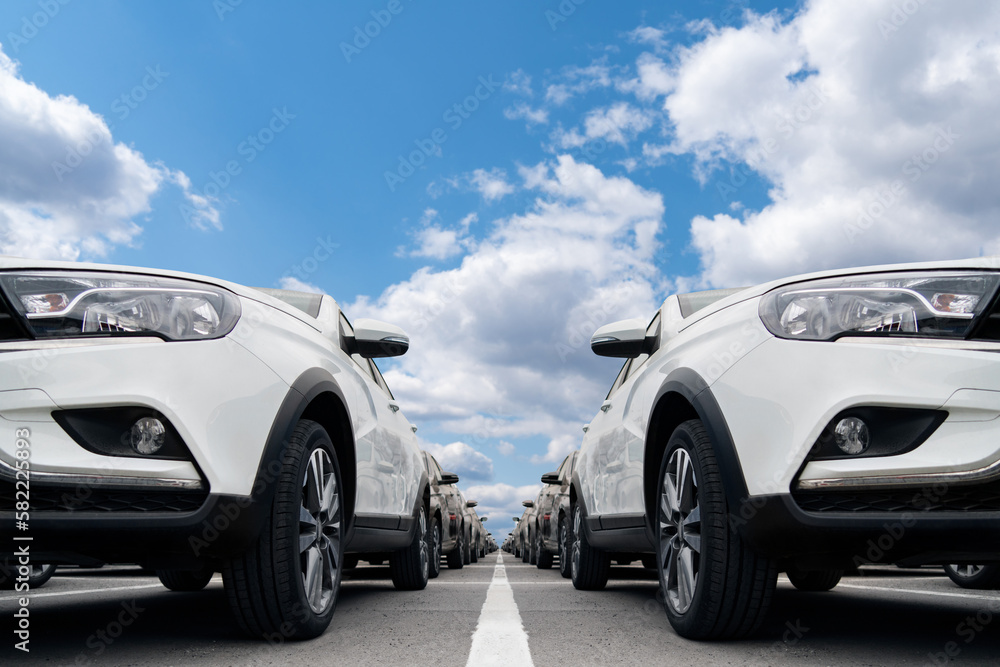New cars in a row. Car sales Stock Photo | Adobe Stock