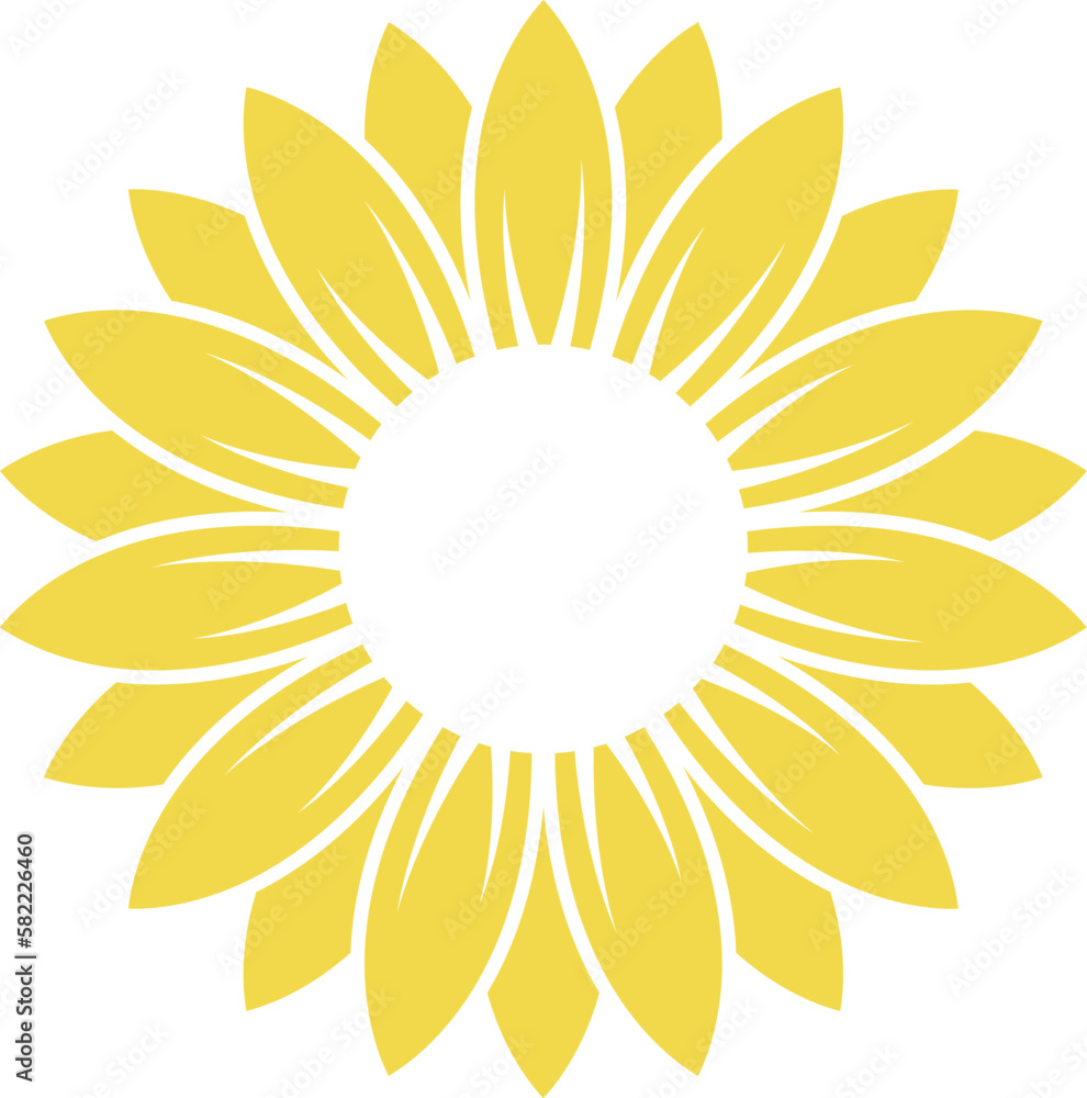 Sunflower isolated on white background Sunflower isolated on white background