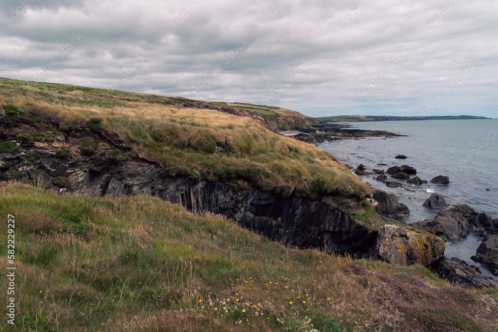 Picturesque Irish seaside landscape. Wild vegetation grows on stony soil. Cloudy sky, coast. Views on the wild Atlantic way.