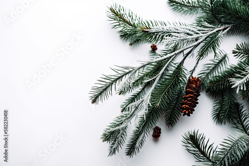 Christmas tree branches decorated on white background. - Holiday season, festive celebration, winter.