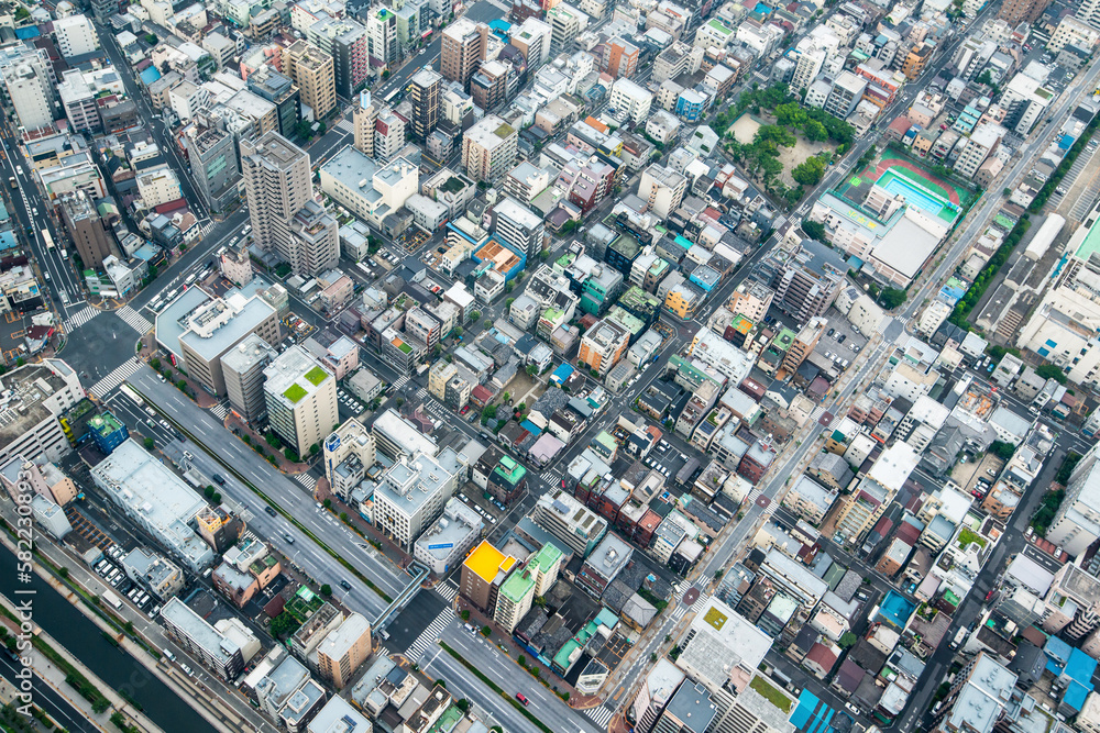 Tokyo Japan from Above