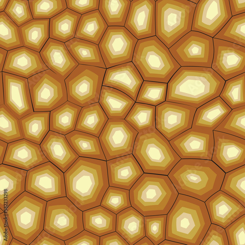 Abstract modern turtle shell seamless pattern. Animals trendy background. Brown tortoise decorative vector illustration for print, fabric, textile. Modern ornament of stylized skin