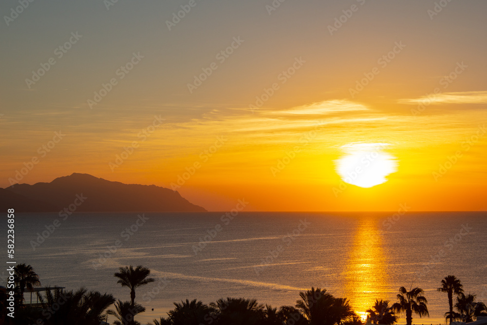 Sunrising over the red sea in Sharm el Sheikh, Egypt. Palm trees are silhouetted as the sun comes up over the ocean. Sunrising over the red sea in Sharm el Sheikh, Egypt. Palm trees are silhouetted as the sun comes up over the ocean.