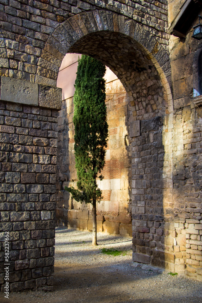 Obraz premium An Archway frames an evergreen tree in an old historic building in the historic city center of Barcelona, Spain