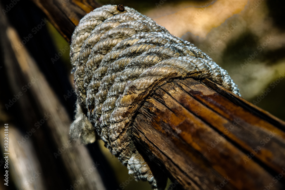 Obraz premium detail of a rope on a wood