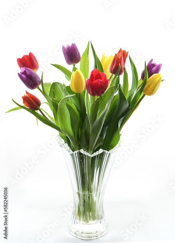 Bouquet de tulipes sur fond blanc