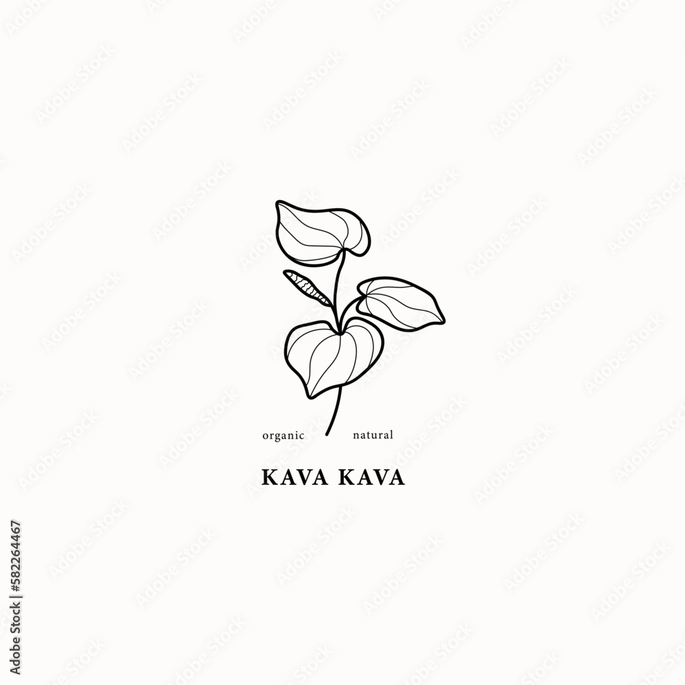 Line art kava kava plant illustration Line art kava kava plant illustration