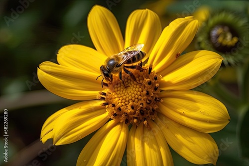 golden Jerusalem artichoke flower with a bee in the center  captured in macro photography. Generative AI