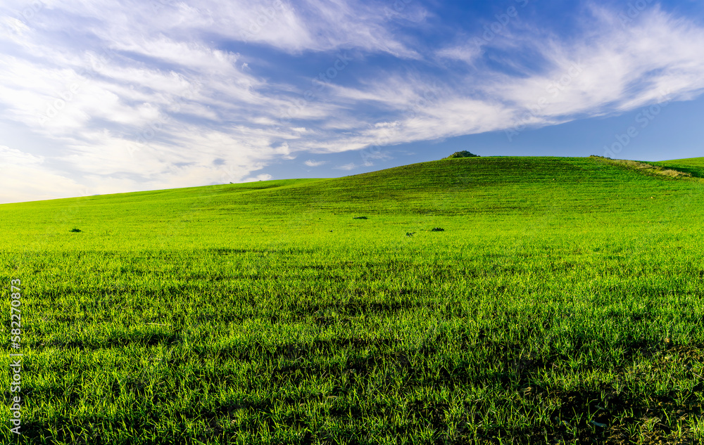 landscape with green grass , country field and beautiful hills and blue sky with clouds landscape with green grass , country field and beautiful hills and blue sky with clouds