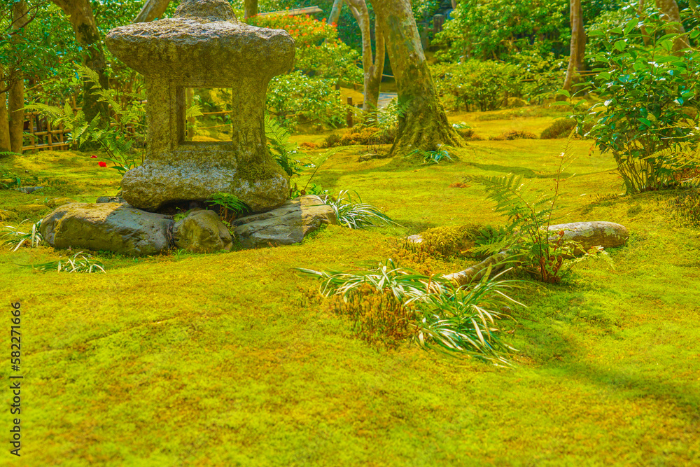 苔の生えた庭園（京都）