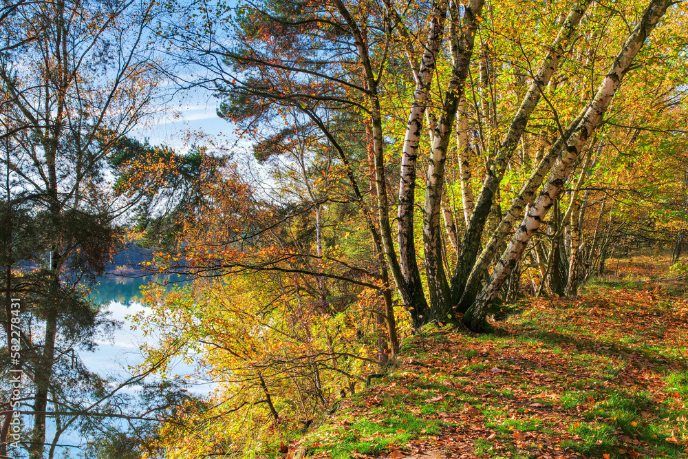 Herbstwald am See - Autumn forest by the lake