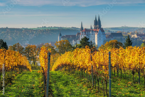 Blick über herbstliche Weinberge auf die Stadt Meissen in Sachsen, Deutschland - view over autumn vineyards to the city of Meissen in Saxony © LianeM