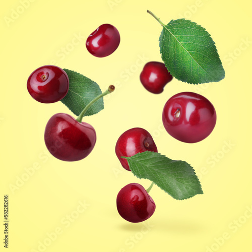 Fresh cherries and leaves falling on light yellow background