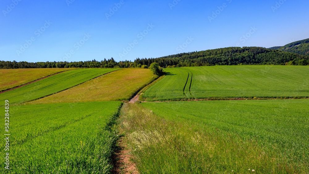 Green field road and blue sky in countryside in summer in Germany