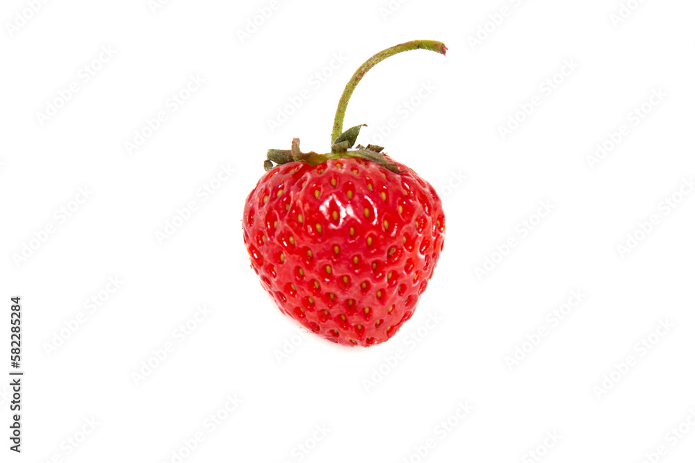 Fresh ripe strawberries with ponytail isolated on white background. Beautiful and tasty strawberries. Dessert. Close-up