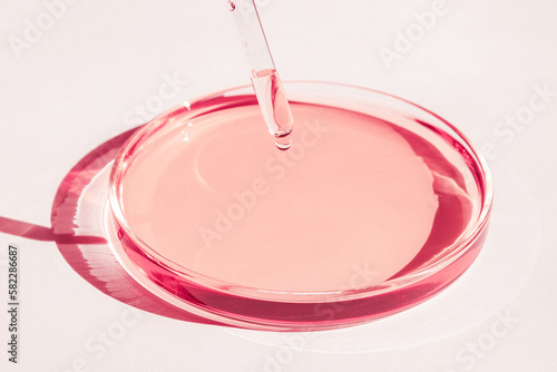 Petri dish. With pink liquid. With solution. Pipette dripping from above. On a white background.