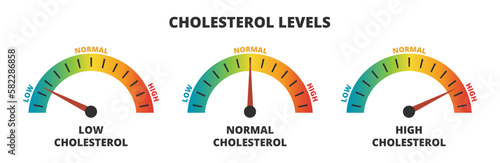 Vector infographic set of cholesterol levels – cholesterol meters with low, normal, and high level results. Indicator gauge with color scale and arrow showing cholesterol levels isolated on white.