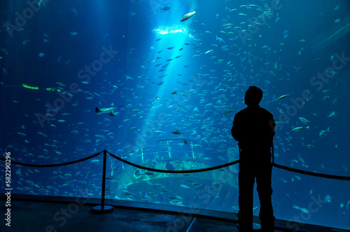 silouhette of a man standing in front of a room-high blue shining aquarium