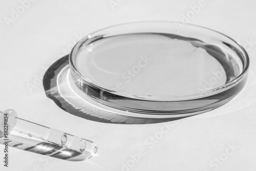 Petri dishes. With transparent liquid. With solution. Medical pipette. On a white background.
