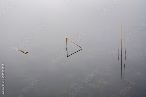 Beautiful peaceful fine art minimalist abatract Winter landscape image of reeds in Loughtrigg Tarn on misty morning with calm water photo