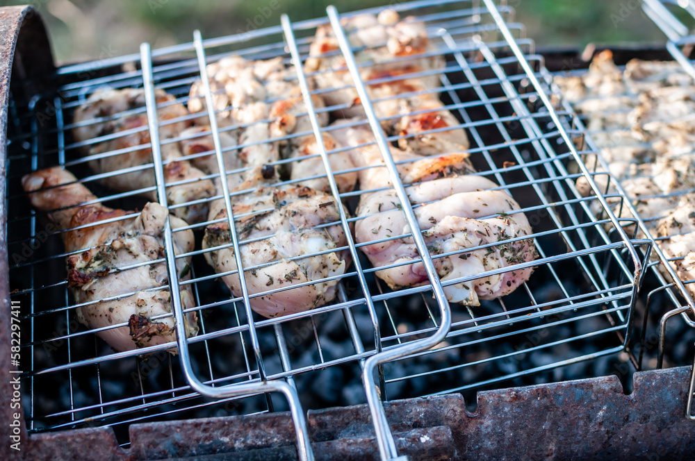 Grilled chicken skewers, shish kebab, fried chicken drumsticks on a skewer, outdoor picnic