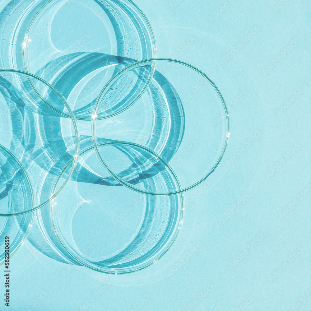 Petri dish. A set of Petri cups. On a blue blue background. Petri dish. A set of Petri cups. On a blue blue background.