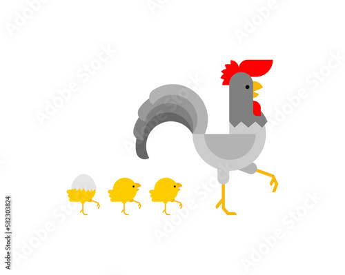 Rooster and chickens are walking. Farm birds. Concept dad and kids