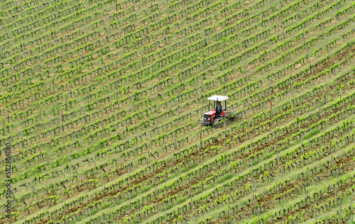Vineyards in Chianti valley  Tuscany
